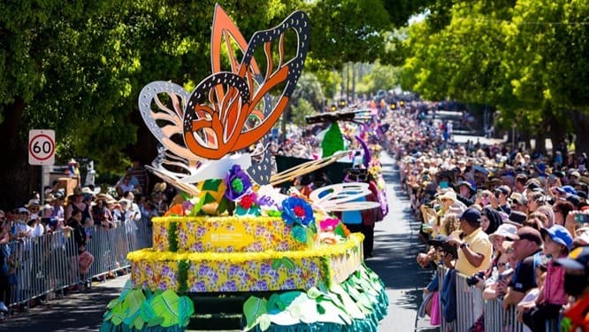 A vibrant parade float adorned with large, colourful butterfly wings and bright floral decorations moves down a street. The float is surrounded by a crowd of spectators, who are standing behind metal barriers on both sides of the road. Many people are wearing hats and sunglasses, suggesting a sunny day. Trees with lush green foliage line the street, providing shade. A speed limit sign is visible on the left side.