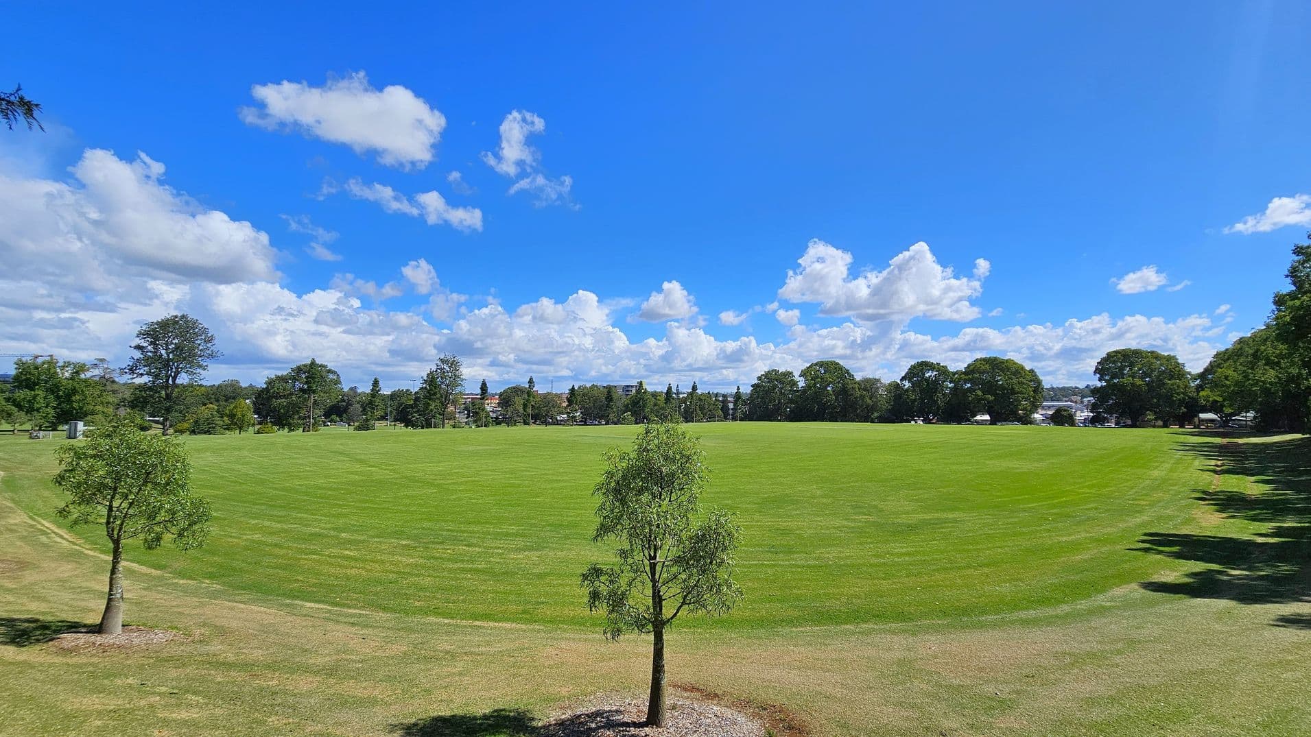 A vast, open grassy field stretches across the image, with a few small trees scattered in the foreground. The grass is neatly mowed, creating a smooth, green expanse. In the background, a line of larger trees borders the field, with some buildings visible beyond them. The sky is bright with scattered clouds, casting soft shadows on the ground. The scene is tranquil and spacious, with a clear view of the horizon.