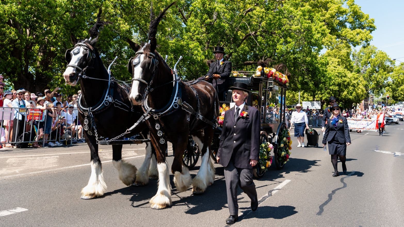 A parade scene with two large black horses with white markings pulling a carriage adorned with colourful flowers. A person in formal attire walks beside the horses, while another person in a top hat drives the carriage. On the right, a woman in a dark suit and hat walks alongside. In the background, a crowd of spectators stands behind barriers, and trees line the street. The road is wide and clear, with more parade participants visible in the distance.