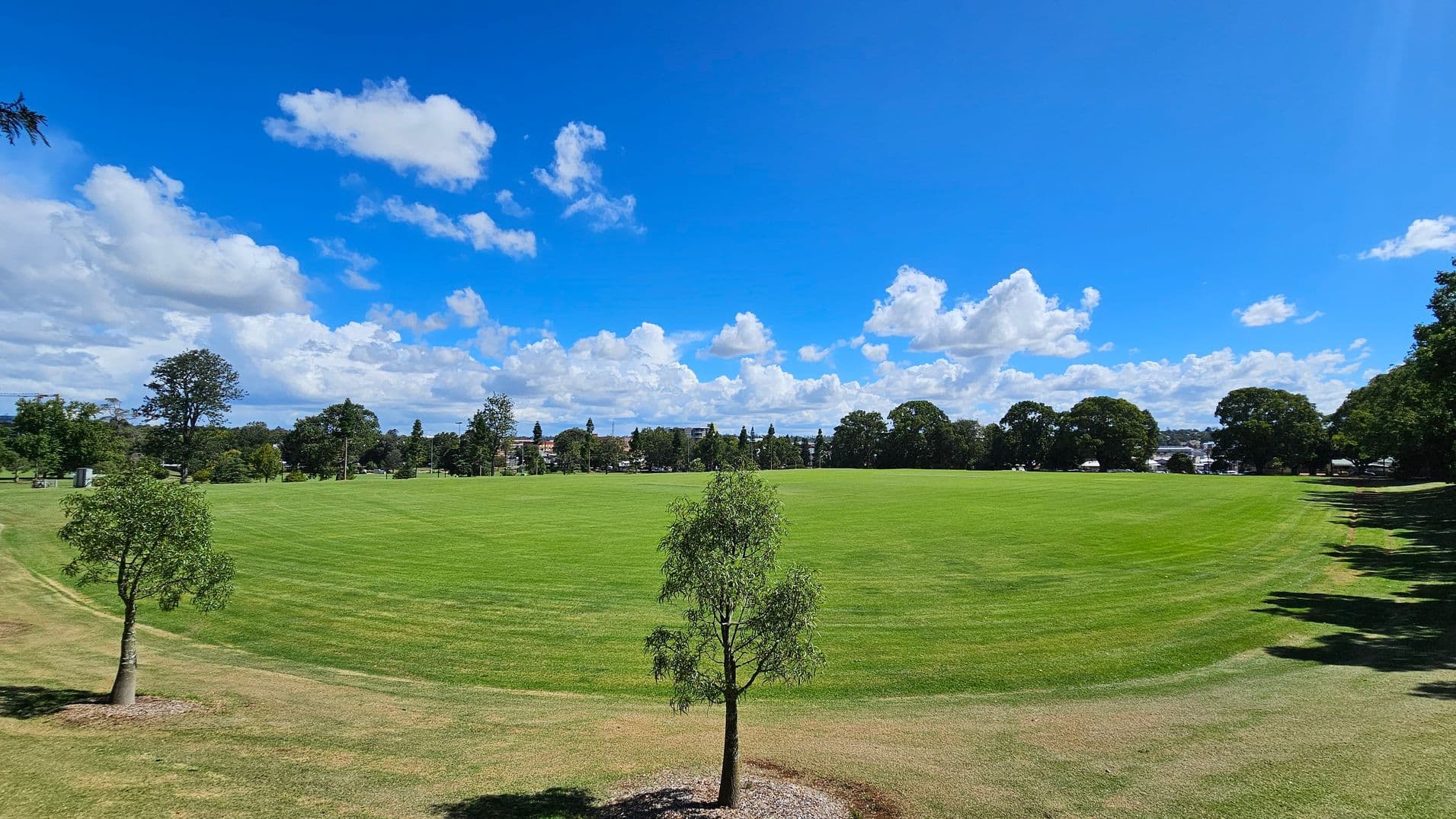 A large, open grassy field stretches across the image, bordered by trees in the background. In the foreground, a small tree stands on the left and another in the centre, both surrounded by patches of bare earth. The grass is lush and well-maintained, with a few areas of brown. The trees in the background form a dense line, with some buildings visible beyond them. Shadows from the trees on the right extend across the grass, creating a pattern on the ground.