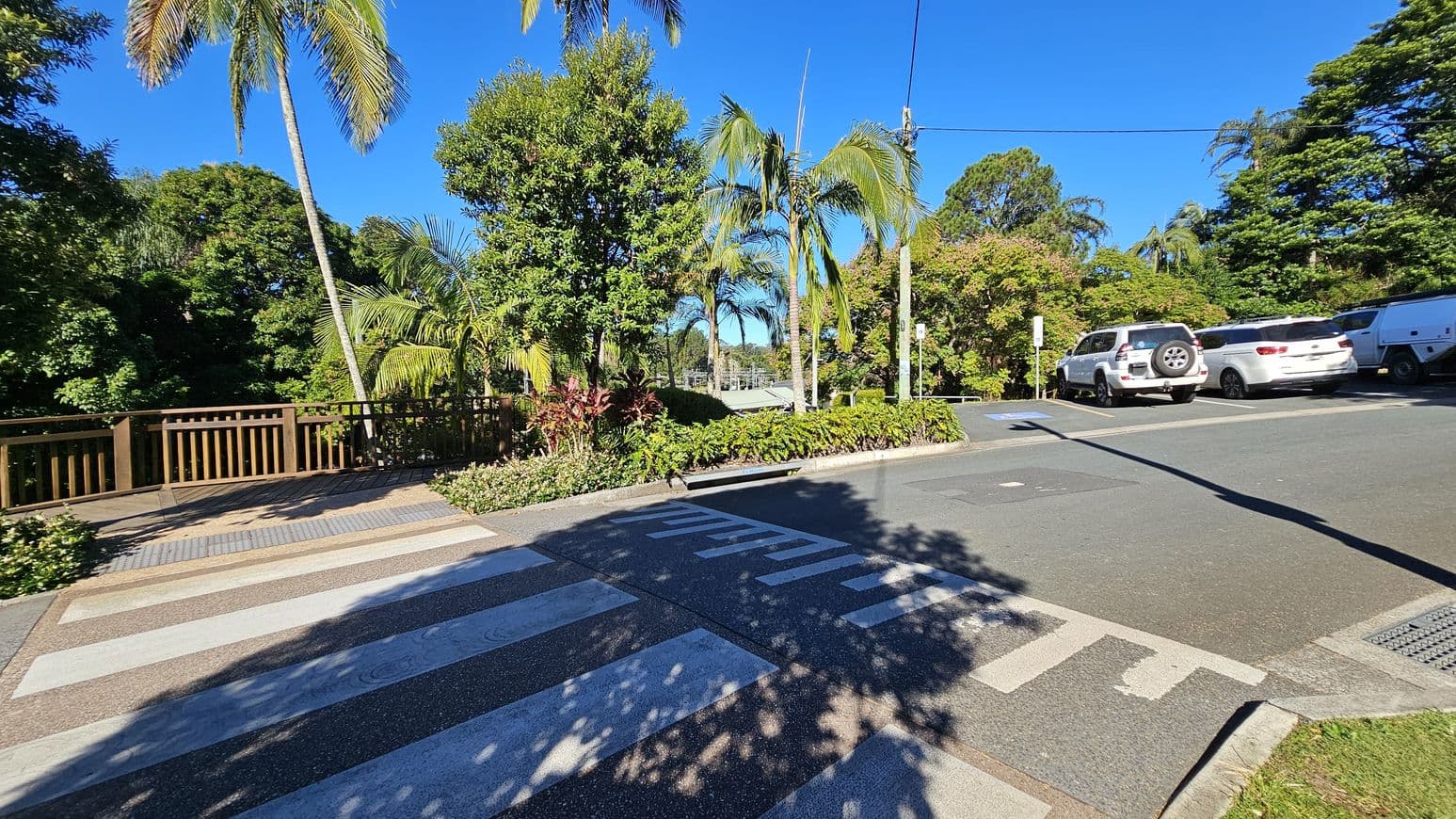 A zebra crossing leads to a wooden fence on the left, surrounded by lush greenery and tall palm trees. In the centre, a variety of plants and trees create a dense, tropical atmosphere. On the right, several white vehicles are parked along the road, with more greenery in the background. The road surface is smooth, and the shadows of trees are cast across the crossing.