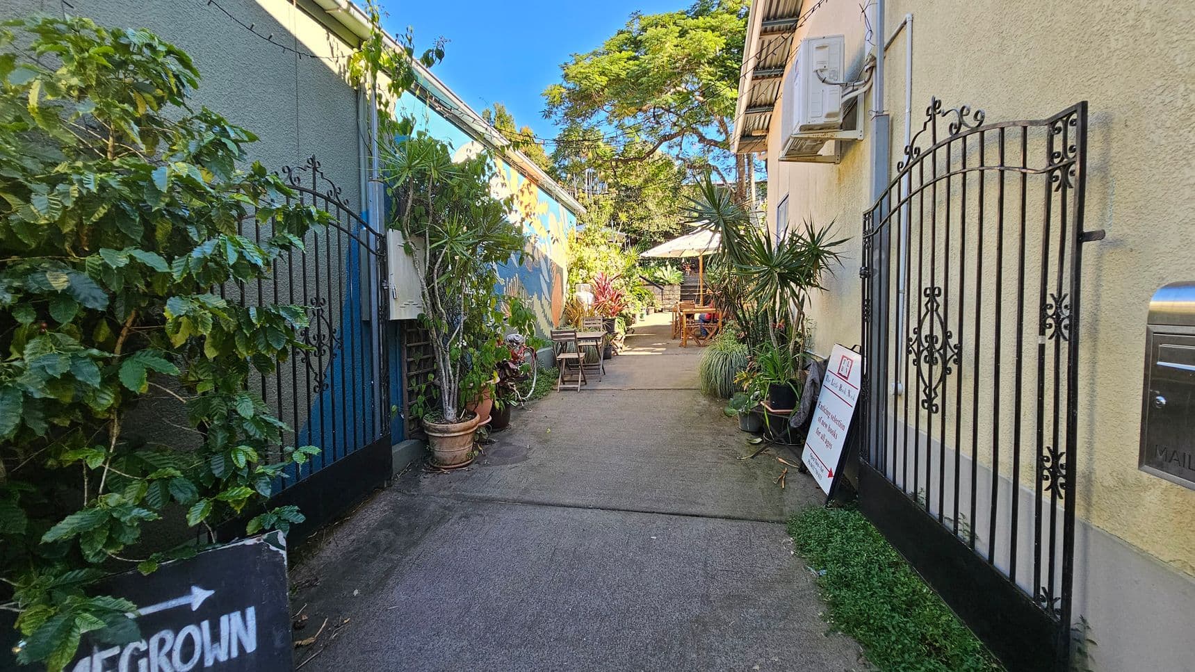 A narrow alleyway with a concrete path leads to a seating area with tables and chairs under a large umbrella. On the left, a grey wall with a mural is partially covered by lush green plants in pots. On the right, a beige wall features an air conditioning unit and a sign. Black wrought iron gates are open on both sides. In the background, a large tree provides shade. A small sign on the left points towards "Homegrown."