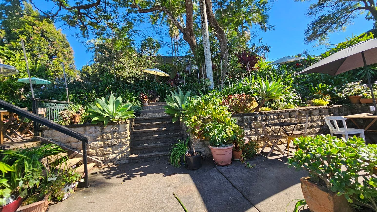 A garden scene with a stone staircase in the centre, flanked by lush green plants and large agave. The foreground has a paved area with potted plants and a wooden table with chairs under a large umbrella on the right. On the left, a metal railing follows the steps. In the background, tall trees and more greenery create a dense, natural setting.