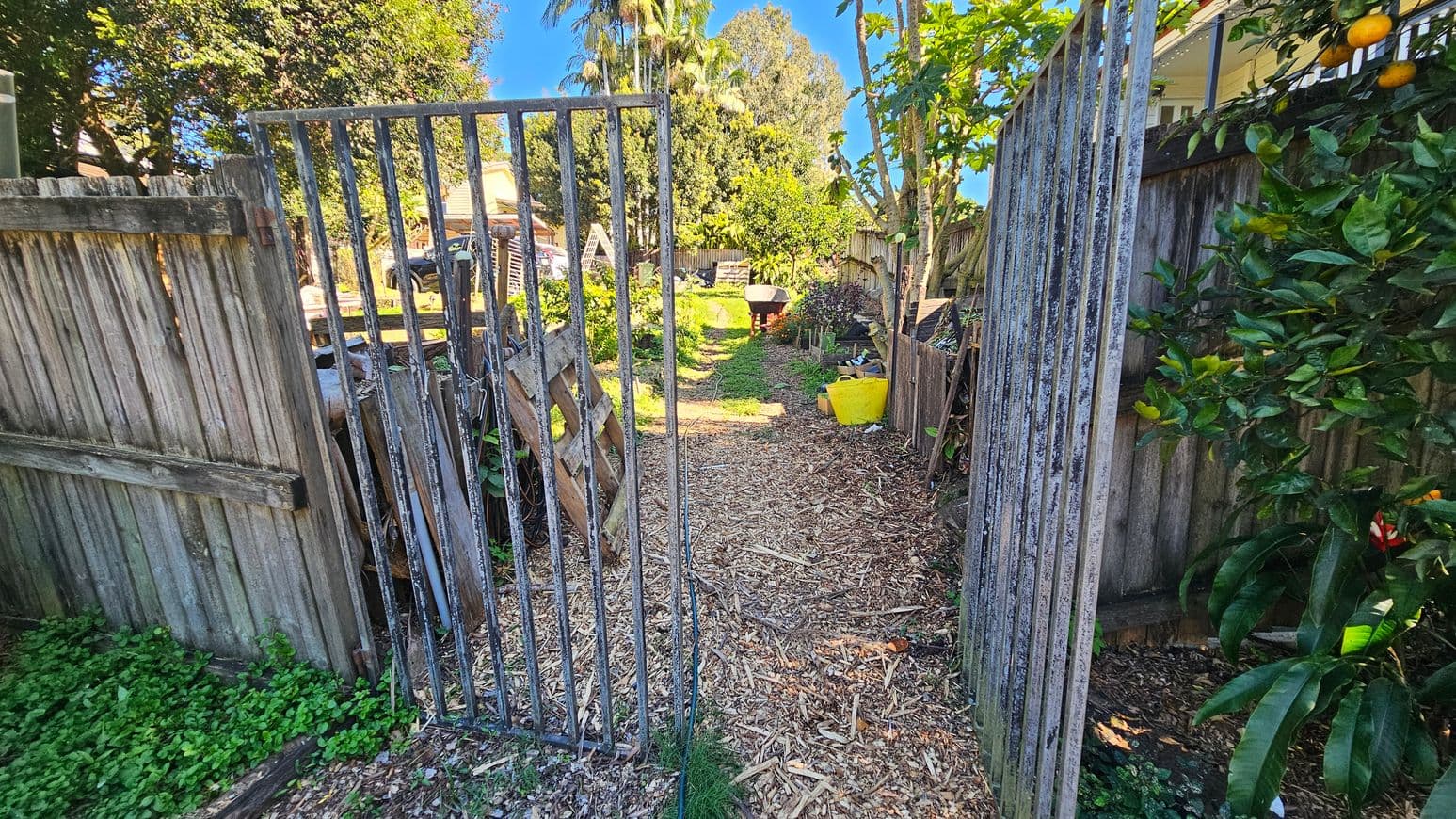 A garden path with wood chip flooring leads through an open metal gate. On the left, a wooden fence and some greenery are visible. On the right, a similar fence is partially covered by leafy plants with some fruit. In the background, there are various plants, trees, and a wheelbarrow. A house is partially visible on the right side.