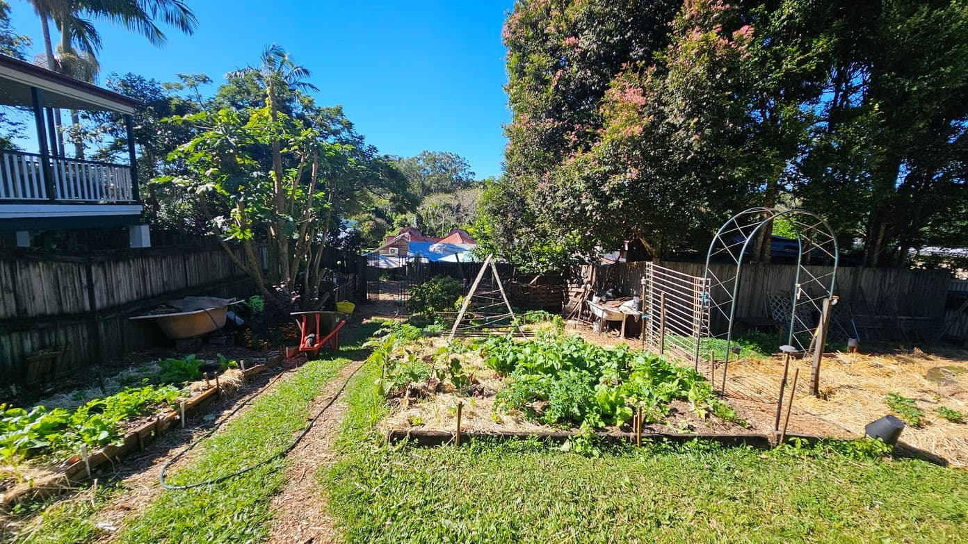 A garden with a variety of plants growing in raised beds, surrounded by a grassy path. On the left, a wooden fence and a house with a veranda are visible. A wheelbarrow and some gardening tools are near the fence. In the centre, a wooden A-frame structure stands among the plants. On the right, a metal archway and more garden beds are present. Tall trees with dense foliage are in the background, and a few rooftops can be seen beyond the garden.