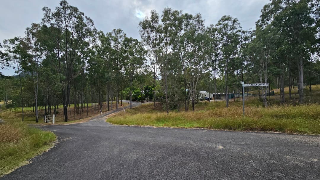 A paved road curves through a wooded area with tall, slender trees on both sides. To the right, a signpost is visible near a parked vehicle. The ground is covered with grass and low vegetation. The road surface is dark and slightly worn.