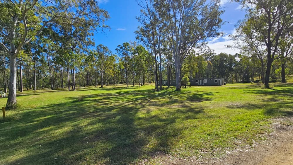 A grassy field with scattered tall trees, casting shadows on the ground. In the background, more trees form a dense line, and a structure is partially visible on the left side. The sky is clear with a few clouds.