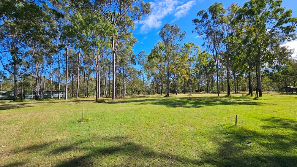 A grassy field with scattered tall trees, casting shadows on the ground. In the background, more trees form a dense line, and a structure is partially visible on the left side. The sky is clear with a few clouds.