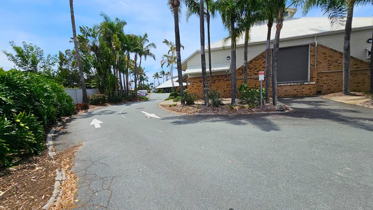 A paved road with white directional arrows curves to the right. On the left, dense green foliage lines the road, with tall palm trees interspersed. On the right, a brick building with a white roof is partially visible, surrounded by more palm trees and small landscaped areas. A "No Parking" sign is posted near the building. In the background, more palm trees and a distant building can be seen. The road surface is slightly cracked.