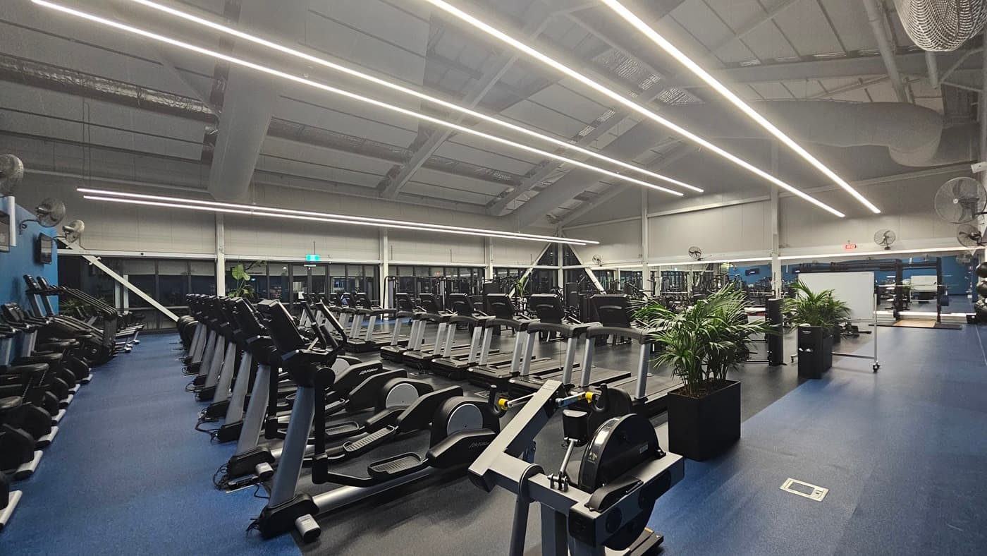 An indoor gym features a row of treadmills on the left and elliptical trainers on the right. The ceiling is fitted with insulation foams and exposed metal beams, with fluorescent tube lights. The floor is covered with blue carpet. Wall fans and flat-screen TVs are affixed to the walls, with a potted plant visible on the right.