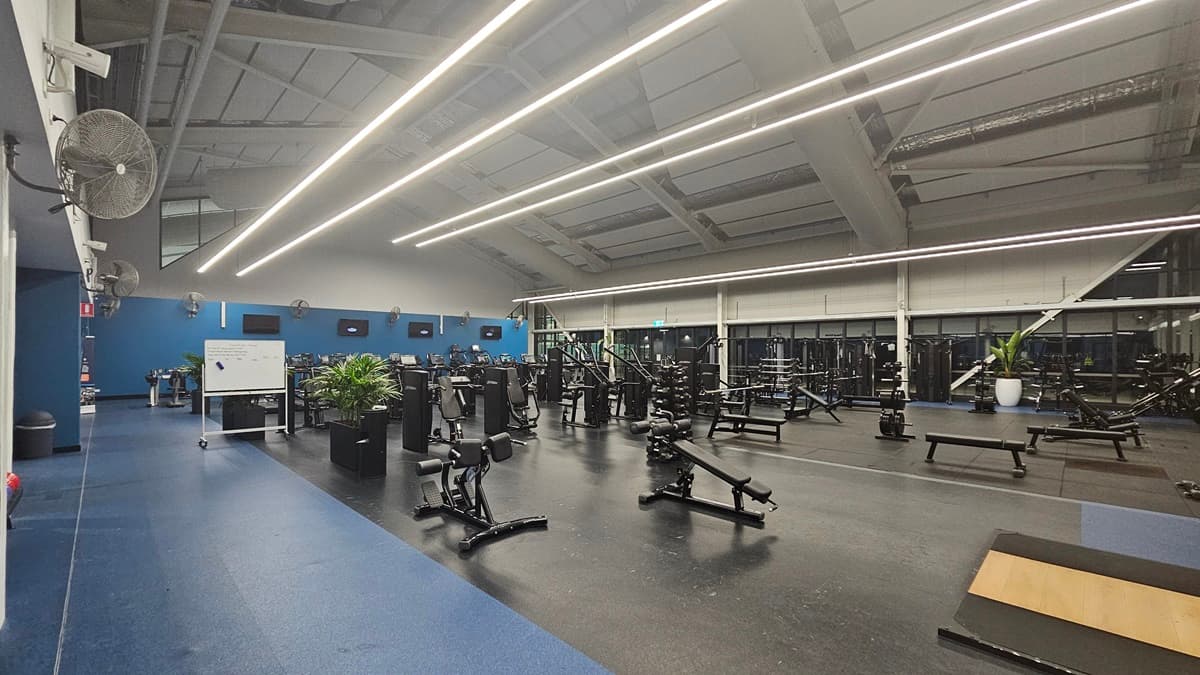 An indoor gym with blue walls. Cardio equipment such as stationary bikes and treadmills are on the left, while free weights, benches, and squat racks are on the right. The ceiling has strip lighting and exposed ductwork. The flooring is grey rubber, with gym mats. Blue walls feature wall fans and flat-screen TVs. A movable whiteboard and large indoor plants are also visible.