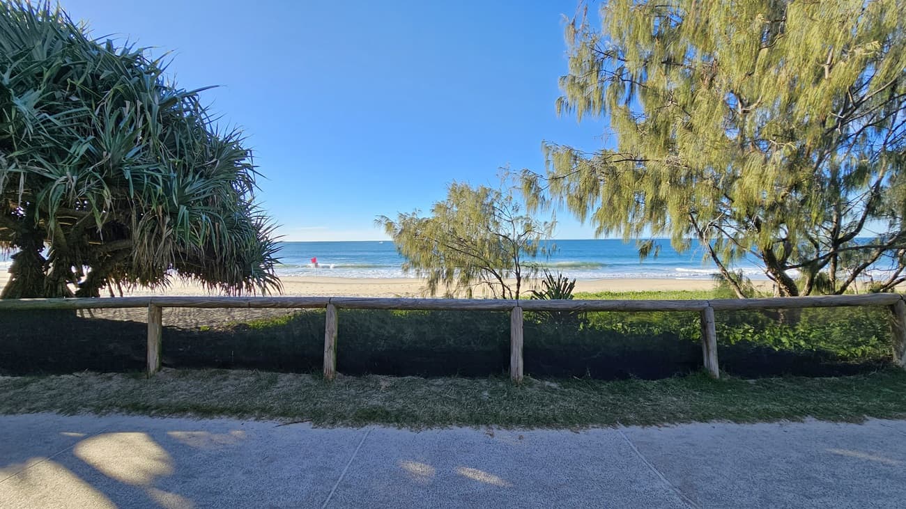 On the left, there is a large tree with thick, spiky leaves. In the middle, there is a wooden fence with a black mesh barrier, and beyond it, a sandy beach with the ocean in the background. On the right, there is another tree with thin, wispy branches. The floor is a mix of concrete and grass, and the foreground has concrete and grass.