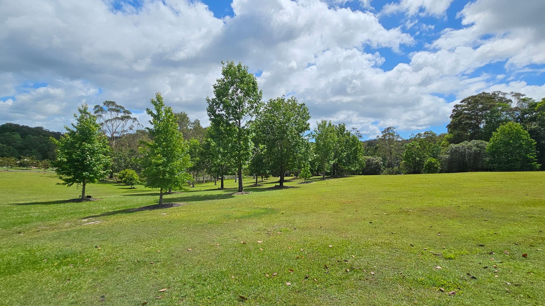 A grassy field with scattered trees in the middle, surrounded by more dense trees in the background. The grass is a mix of green and brown patches, with some fallen leaves. The sky is partly cloudy.