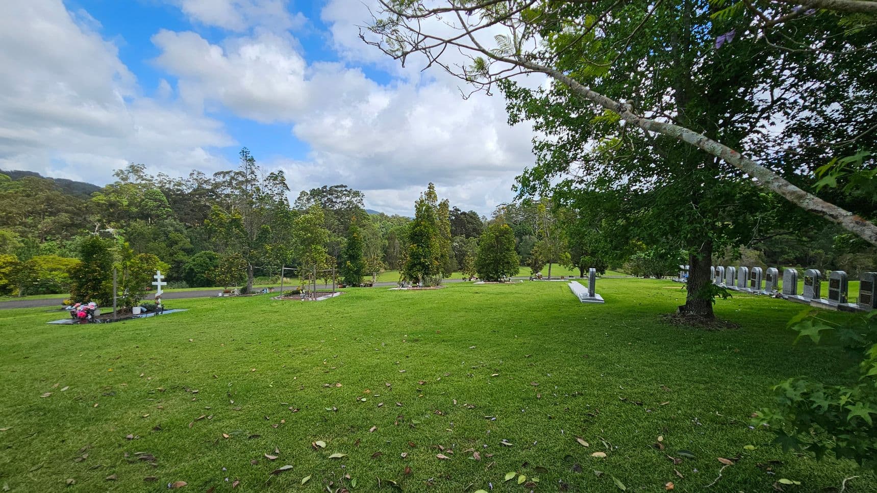 A cemetery with a well-maintained grassy area. On the left, there are several graves with flowers and a white cross. In the middle, young trees are evenly spaced, and a paved path runs through the area. On the right, a row of headstones is visible beneath a large tree with dense foliage. The background features a forested area with various trees.