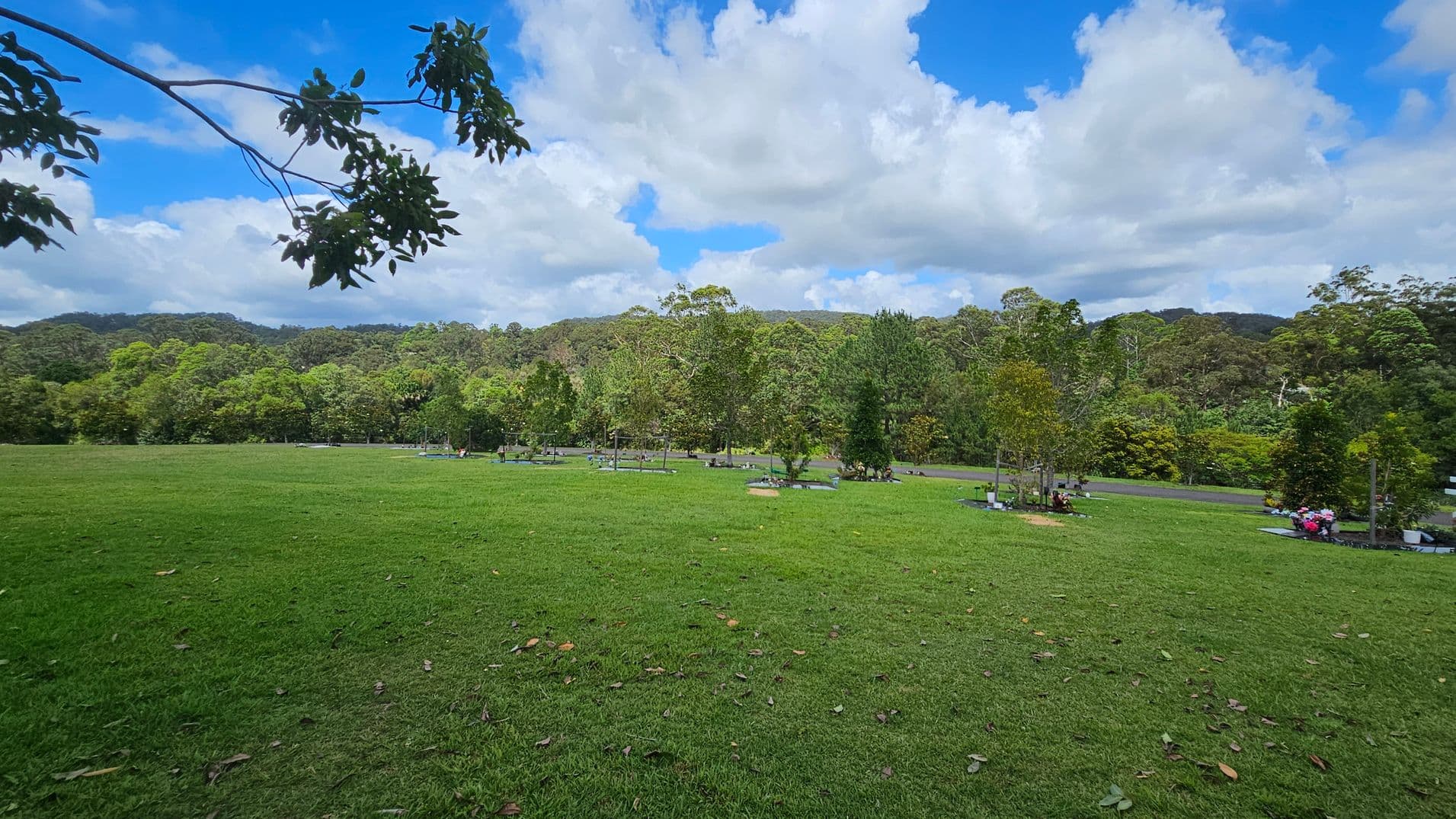 A vast green lawn stretches across the foreground, dotted with a few scattered leaves. In the middle, there are several small trees and shrubs, with some floral arrangements visible. A paved path runs horizontally, separating the lawn from a dense line of trees in the background. The sky is partly cloudy, with a few branches hanging down from the top left corner.