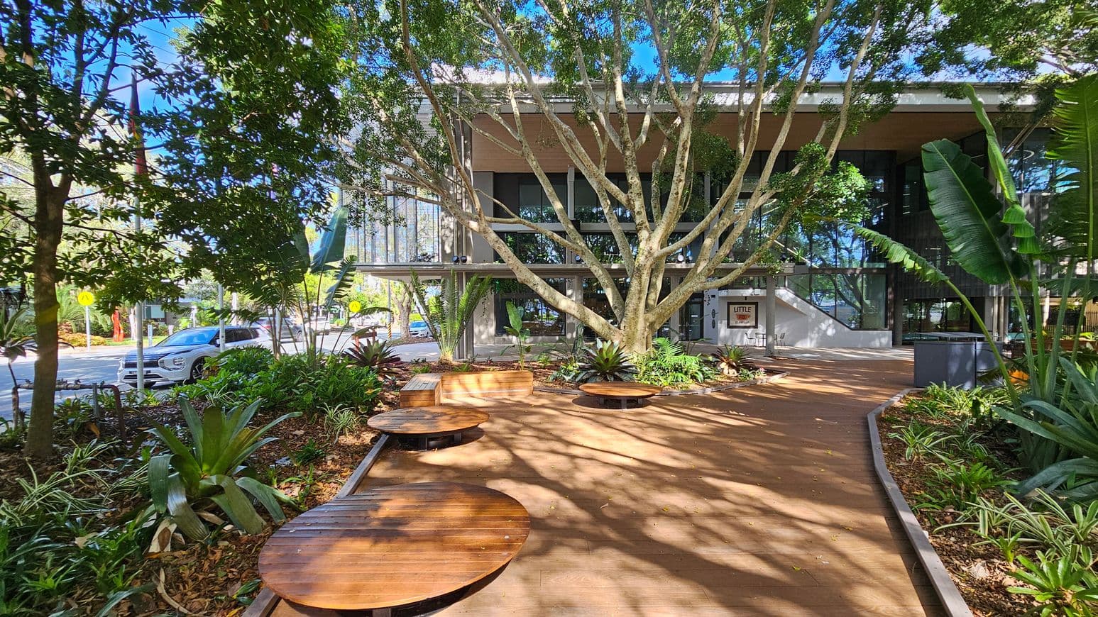 A modern building with large glass windows is in the background, partially obscured by a large tree with sprawling branches. In the foreground, there is a wooden deck with circular wooden benches. Lush greenery, including various plants and trees, surrounds the area. On the left, a road with a white car is visible, while on the right, more plants and a pathway can be seen. The scene is well-lit, suggesting a sunny day.