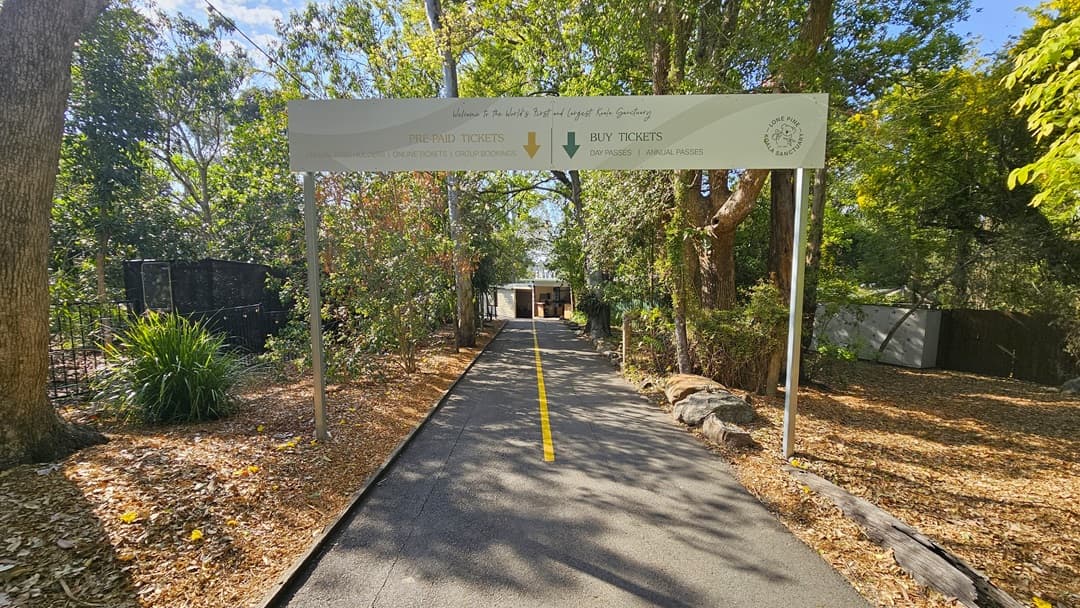 Entrance leading to Lone Pine Koala Sanctuary. On the left side, a statue of a mother and a baby koala is situated in front of the “Lone Pine Koala Sanctuary” sign. Ahead is the bitumen pathway that leads to the ticketing office, which is surrounded by several trees. On the far end of the left, black fences are prominent.