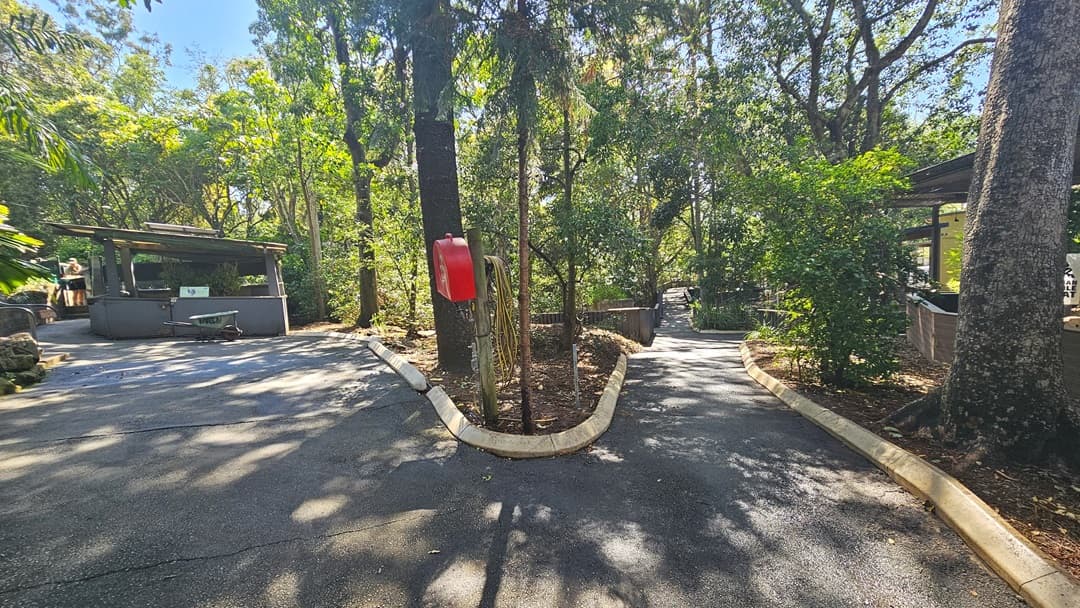Another pathway inside the sanctuary. The surface of the pathways is visibly uneven. In the middle, near the garden edge, a red bag-like object placed on a wooden pole is situated. Two sheds are apparent on each side of the pathways. Enormous trees visibly occupy the area.