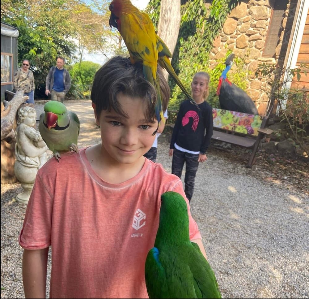 A girl with a green parrot perched on her shoulder outdoors.