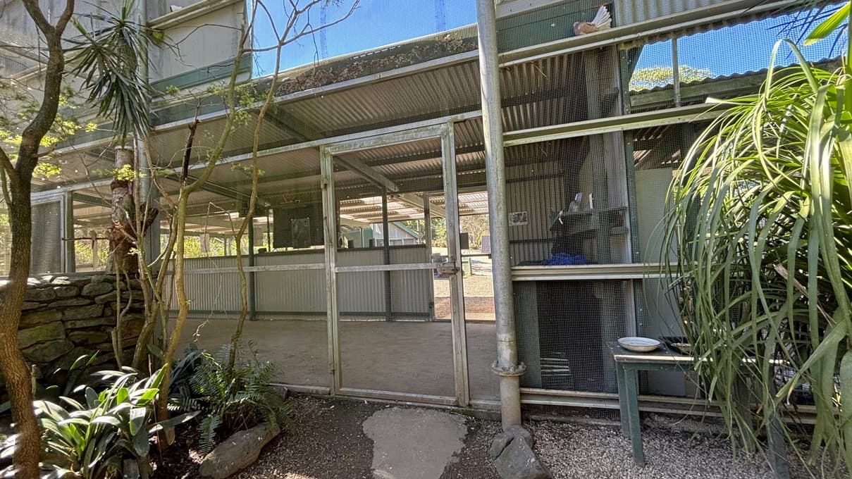 On the left, there are tall plants and a stone wall with greenery at the base. On the right, there are more tall plants and a gravel area. In the middle, there is a large mesh enclosure with a corrugated metal roof and green metal beams. The background includes the interior of the enclosure with metal walls and a concrete floor. The ceiling is made of corrugated metal supported by metal beams.
