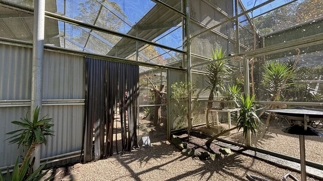 On the left, there is a corrugated metal wall with a tall plant in front of it. On the right, there are several tall plants and a metal table with a black top. In the middle, a black curtain hangs in a doorway leading to another section. The background includes metal mesh walls and additional plants. The ceiling is made of corrugated metal and mesh panels supported by metal beams. The floor is covered with gravel.
