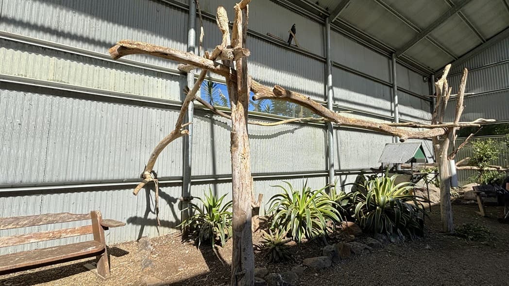 On the left, there is a wooden bench next to a corrugated metal wall with a large branch structure attached. On the right, there is a birdhouse on a stand surrounded by plants and rocks. In the middle, more branches are attached to the wall, creating perches. The area is enclosed by a corrugated metal wall with horizontal beams. The ceiling is made of corrugated metal supported by metal beams. The floor is covered with gravel.