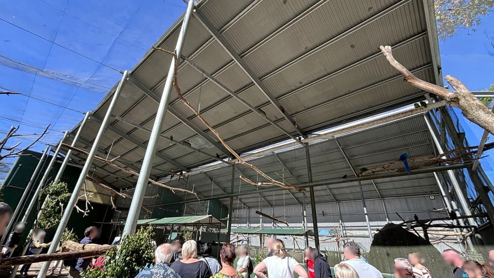 On the left, there is a green metal structure with a corrugated metal roof and several tall green plants. In the middle, there are multiple people standing and observing the area, with wooden branches extending across the space. On the right, there are more people, plants, and branches, with a blue bird perched on one of the branches. The background includes a large corrugated metal wall and mesh panels. The floor is covered with gravel, and the ceiling is made of corrugated metal.