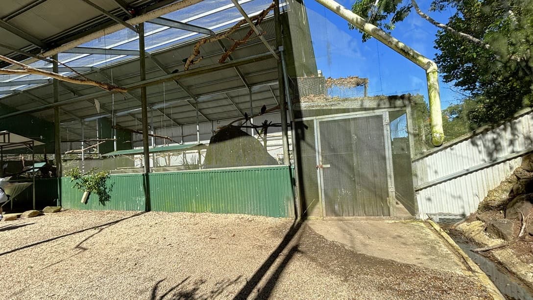 On the left, there is a green corrugated metal wall with a small plant growing at its base. In the middle, there is a large rock formation inside a green metal enclosure with a mesh roof. On the right, there is a closed metal door next to a corrugated metal wall. The background includes the interior of the enclosure with metal beams and mesh panels. The floor is covered with gravel, and the ceiling is made of corrugated metal and mesh panels supported by metal beams.