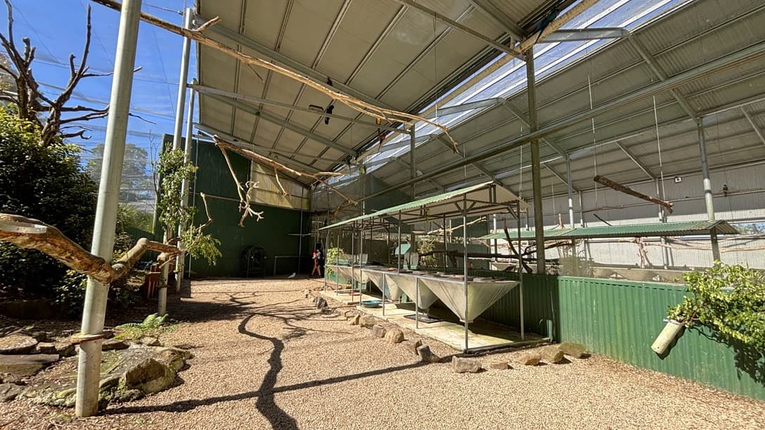 On the left, there are green metal walls with attached branches and a few plants at the base. In the middle, there are large metal enclosures with mesh tops and several branches extending across the space. On the right, there are more green metal walls and additional branches. The background includes the interior of the enclosure with metal beams and mesh panels. The floor is covered with gravel, and the ceiling is made of corrugated metal and mesh panels supported by metal beams.