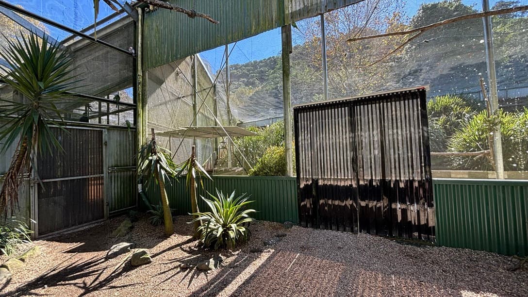 On the left, there are green corrugated metal walls with attached branches and a few tall plants at the base. In the middle, there is a large metal enclosure with mesh tops and several branches extending across the space. On the right, there are more green. The floor is covered with gravel, and the ceiling is made of corrugated metal and mesh panels supported by metal beams.