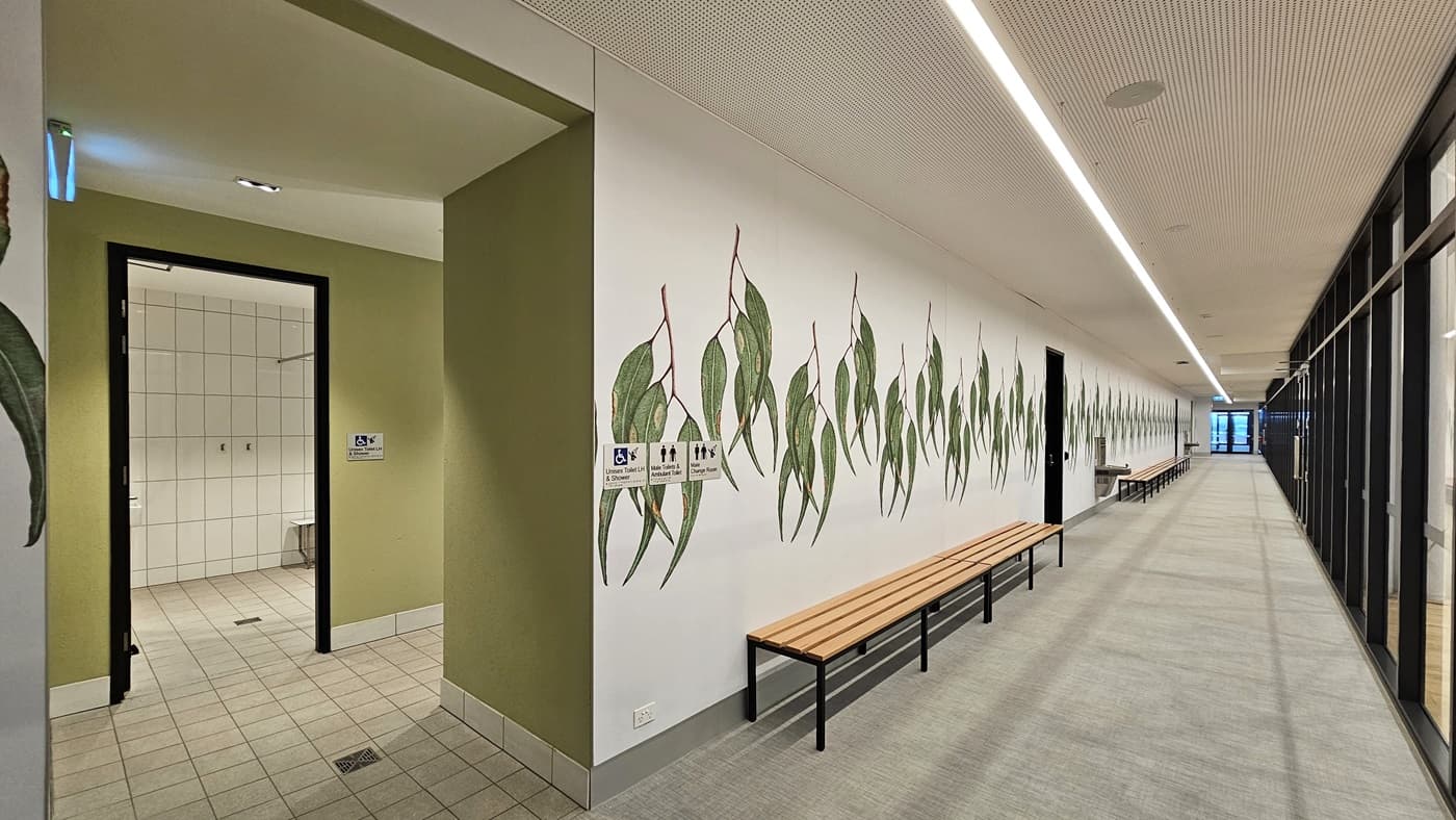 To the left of the corridor is an accessible bathroom with signage. White tiles cover the floor, while the wall is painted green and white with foliage decoration. The ceiling features a porous design with a strip of LED lighting. Bench chairs and drinking faucets are positioned against the wall, facing the glass enclosure of the stadium.