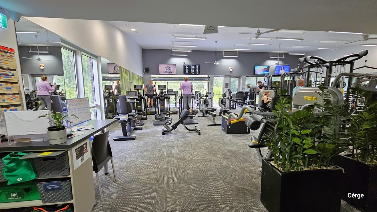 To the left is the Gym grey reception desk with a dirty white body frame. On the desk compartments are a green first aid kit bag and grey baskets. To the right are large square pots with green plants. The gym has a grey rubber mat floor and dark grey walls and ceiling. Squat racks, bench presses, smith machines, treadmills, barbells, and dumbbells are available. The left wall is a combination of a mirror, glass windows, and a nature painting. Mounted on the back wall are flat-screen TVs.