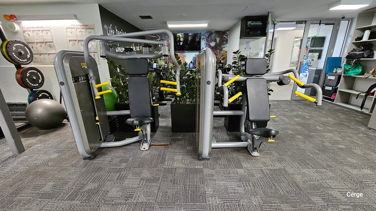 Behind the black square potted plants are two chest press machines with a gray frame, black padding, and yellow handles. On the left side are various colors of iron-weight plates and a grey yoga ball. On the white back wall are two graphics lit by rectangular lighting. On the right side is an open light grey cabinet for bags.