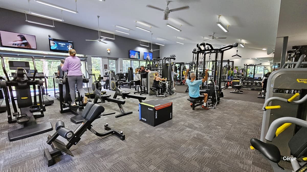 A closer look at the squat rack, bench press, treadmills, barbells, and dumbbells on the grey rubber mat floor. The wall is made of a combination of grey and glass windows. Seen through the glass windows are the tall trees. Mounted on the grey wall are small, flat-screen TVs that provide entertainment to the gym-goers. On the ceiling are hanging fluorescent fixtures and ceiling fans.