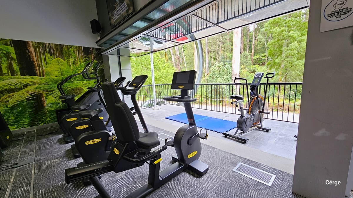 Cardio equipment on the back of the veranda that has black handrails with an overview of the surrounding trees, bushes, and shrubs. On the right column is a white sign that reads, “Wipe Down Equipment With Sanitizer Wipes After Every Use”. On the grey wall is a flat-screen TV and a small speaker in the corner. The veranda is partly covered by a glass awning. Beside the stationary bike on the veranda floor are two blue rubber mats.