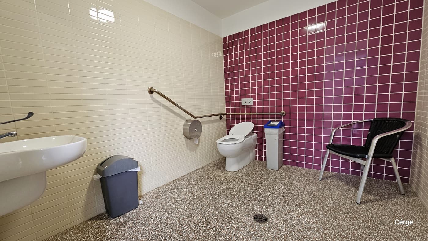 Inside the accessible bathroom located outside the gym. The bathroom has a dotted-like stone floor, a cream-white tile wall on each side, and a red tile wall to the back. A small white section separates the wall and the ceiling. On the left is a wash basin, a grey garbage bin, and a stainless steel tissue dispenser. Near the toilet are grab bars mounted on the wall. Beside the toilet is a small grey garbage bin with a blue lid. There is also a black chair with a stainless steel frame.