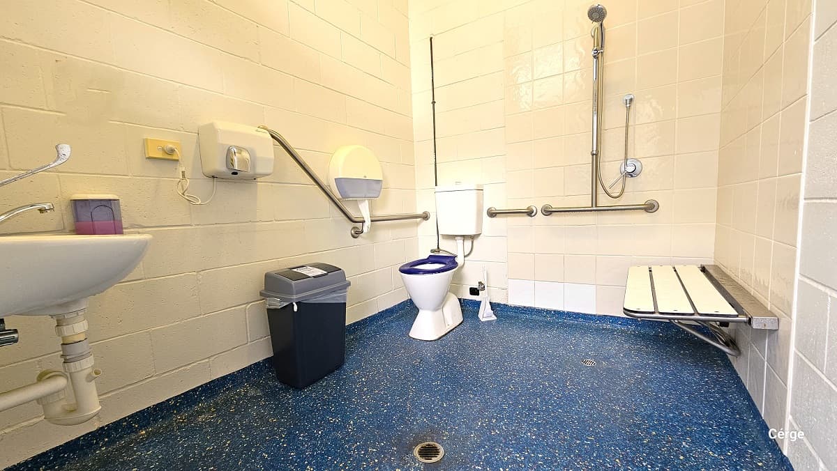 The accessible toilet at Nerang Aquatic Centre has a unique dark blue floor with white dot irregular patterns and a white tile wall. On the left side of the door is the hand basin and a hand soap dispenser with a purple liquid hand soap. There is also a hand dryer on the left wall, along with the tissue dispenser. In front of the toilet with a blue toilet cover is a grey garbage bin. Next to the toilet is the shower section, grab bars, and a wall-mounted white shower chair.