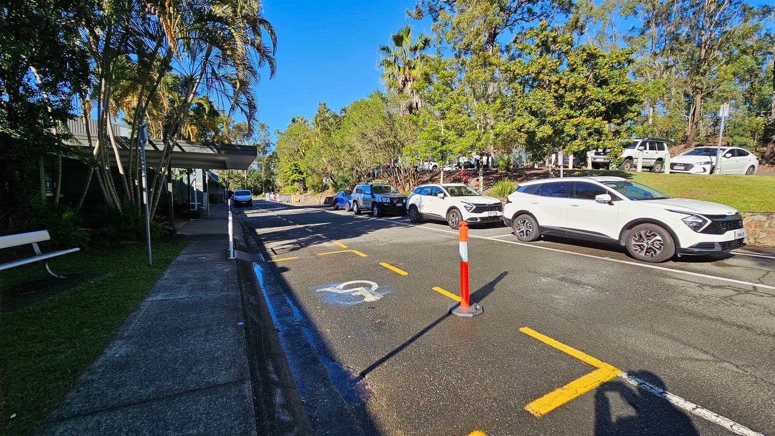 A street scene with a row of parked cars on the right, including a white SUV. A pavement runs along the left side, bordered by grass and a bench. Palm trees and other greenery are visible on the left, with a building partially obscured by foliage. A traffic cone and a disabled parking symbol are painted on the road. The background features more trees and parked cars on a grassy incline. Shadows are cast on the pavement, indicating sunlight.
