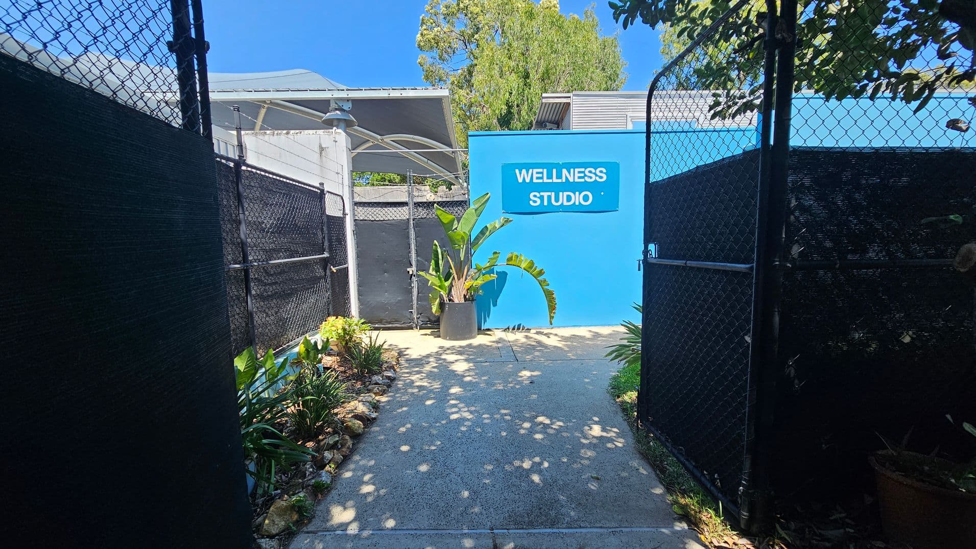 A pathway leads to a bright blue wall with a sign reading "Wellness Studio" in white letters. On either side of the path are black chain-link fences with black mesh coverings. To the left and right, there are small garden beds with various green plants and rocks. A large potted plant with broad leaves is placed in front of the blue wall. In the background, there are trees and a structure with a grey roof. Shadows of leaves are cast on the concrete path.
