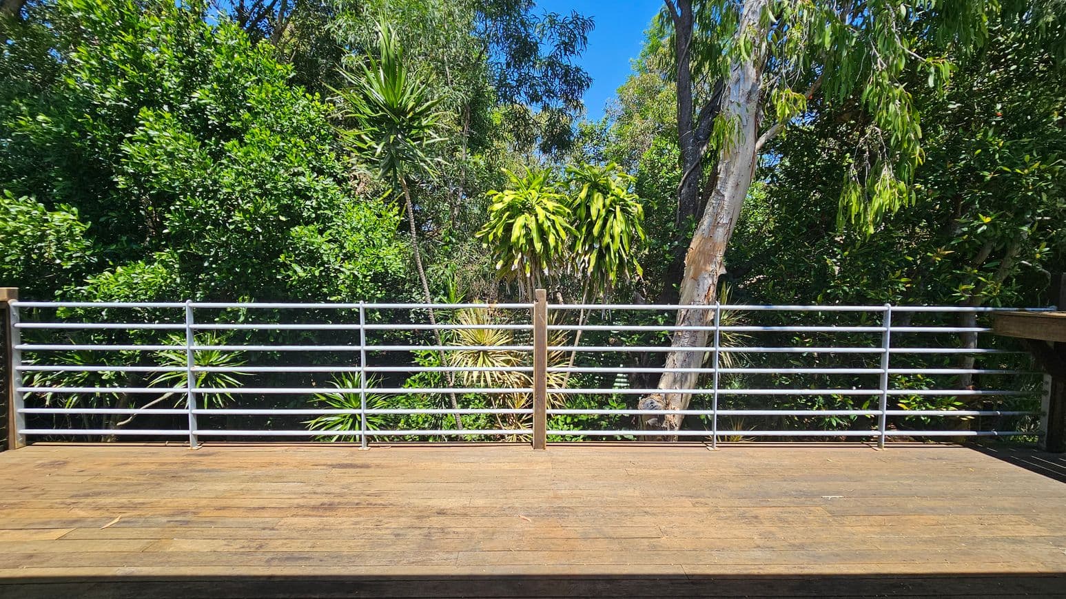 A wooden deck with a metal railing runs horizontally across the foreground. In the background, dense green foliage includes various trees and plants, such as tall, slender trees and bushy shrubs. The scene is well-lit, suggesting a sunny day.
