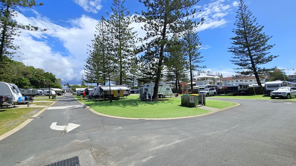 Several caravans are parked on artificial turfs on the left, with vehicles attached to some. Trees line the background. On the right, a paved road is visible, with more caravans parked on grass further along. Tall pine trees stand prominently in the centre, with additional caravans separating the left and right sections. Buildings and more pine trees are visible on the far right.