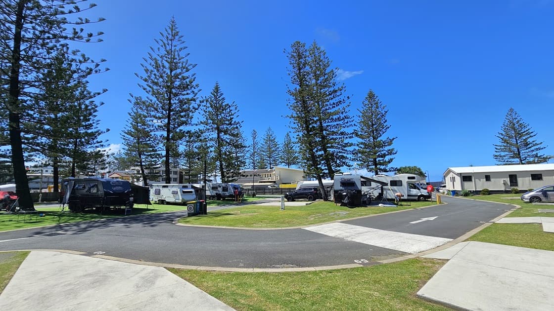 Several caravans are parked on artificial turfs, with vehicles attached to some. In the foreground, a paved road with a footpath is visible. On the right, more caravans are parked on the grass. Tall pine trees stand prominently in the centre, with additional caravans separating the left and right sections. Low-set buildings and more pine trees are visible on the far right.