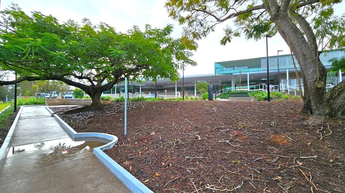 A concrete path on the left with a puddle reflecting nearby trees. On the right, a sloped area covered in mulch and twigs, with two large trees. In the background, a building with a sign reading "Palm Beach" and several white chairs. The building has a modern design with a covered entrance and railings. The area is landscaped with various plants and shrubs.
