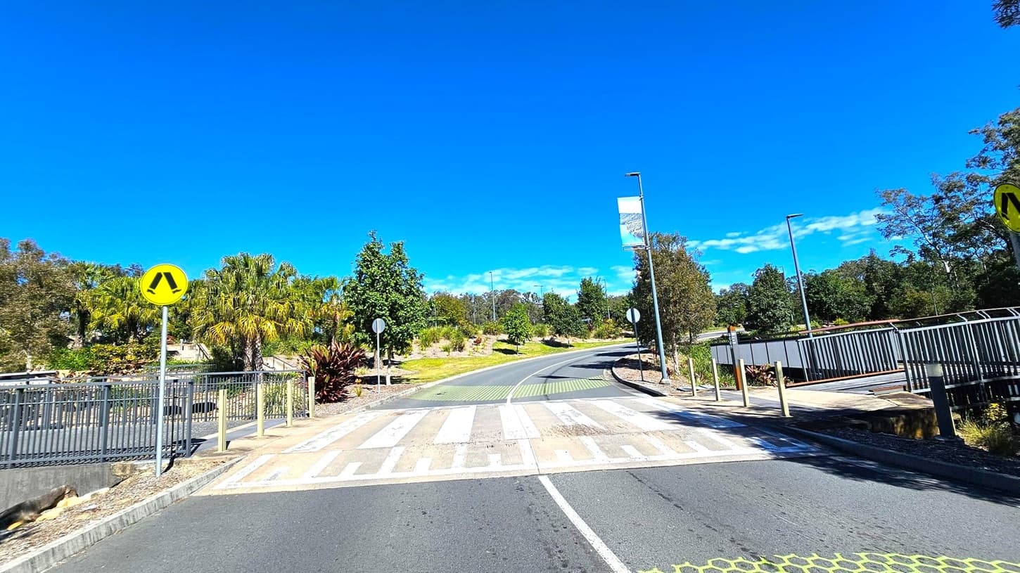 A road with a pedestrian crossing in the foreground, marked with white and green stripes. On the left, a yellow pedestrian sign is visible near a metal railing and lush greenery, including palm trees. On the right, a pathway with a metal fence runs parallel to the road. The background features a winding road lined with trees and street lamps, with a banner hanging from one of the poles. The scene is well-lit, suggesting a sunny day.