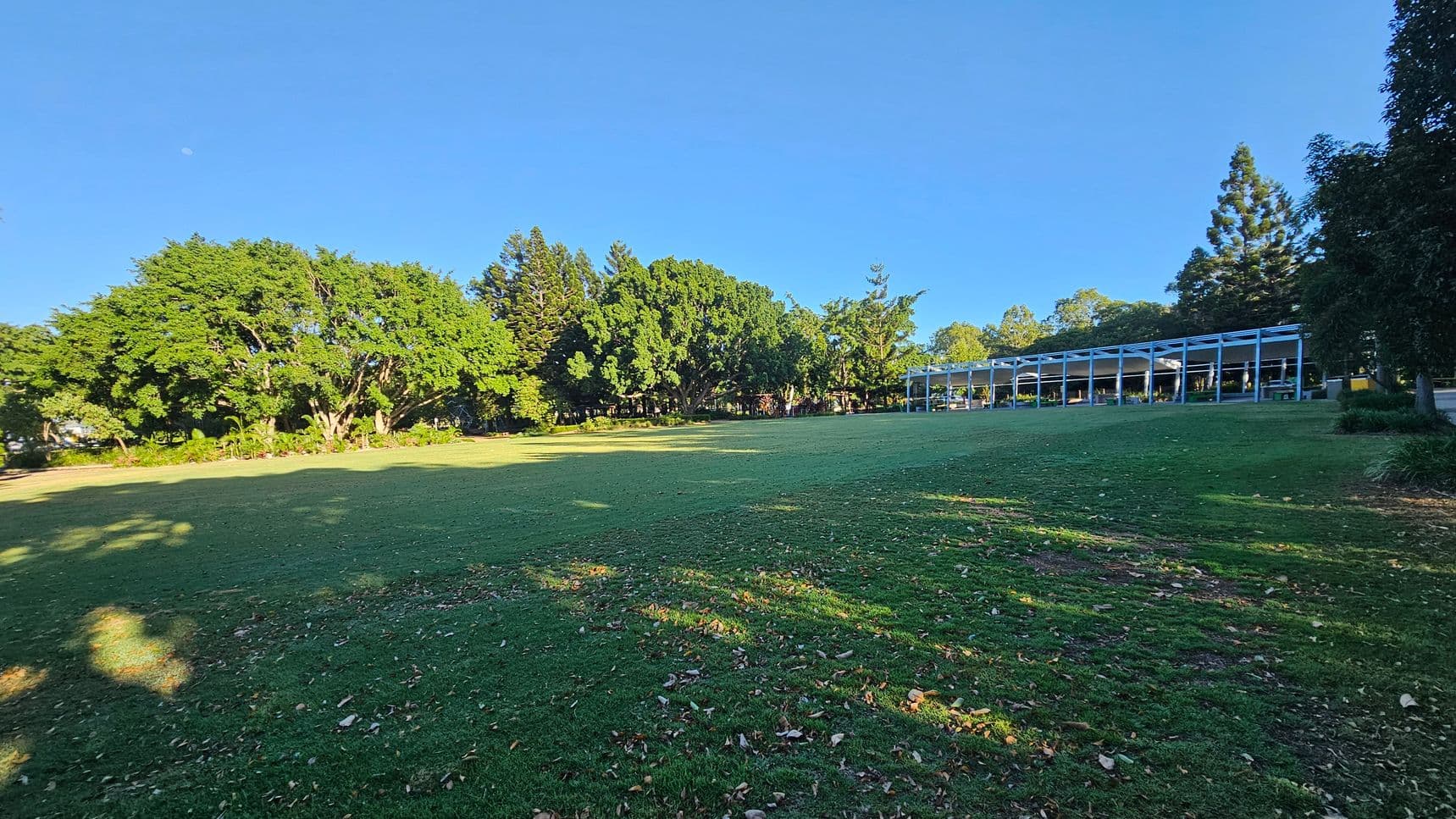 A large grassy field with scattered leaves in the foreground. On the left, there are dense trees with lush green foliage. To the right, a long, open-sided structure with a metal roof and columns is visible, possibly a pavilion or shelter. More trees are in the background, and the area is well-lit by sunlight, casting shadows on the grass.