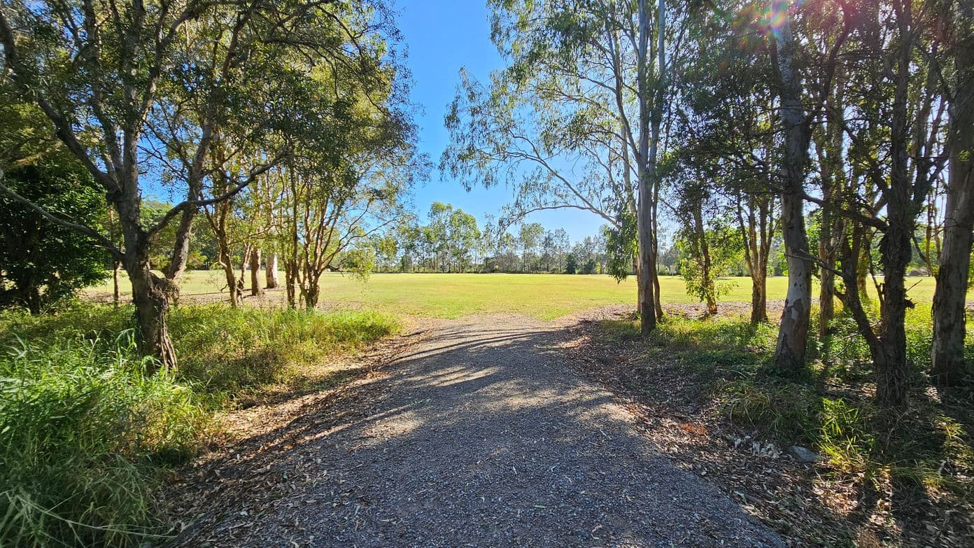 A gravel path leads through a wooded area with trees on both sides. The trees have slender trunks and sparse foliage, allowing sunlight to filter through. The path opens up to a large, open grassy field in the background. Sunlight creates dappled shadows on the path, and there are patches of grass and fallen leaves along the edges. The sky is clear and blue, visible through the tree branches.