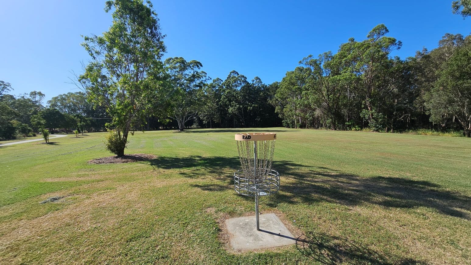 A disc golf basket stands in the foreground on a grassy field. To the left, a tree with green leaves is visible, casting a shadow on the grass. In the background, a dense line of trees forms a natural border, with a few smaller trees scattered across the field. The ground is a mix of green and brown patches, and the sky is clear and blue.