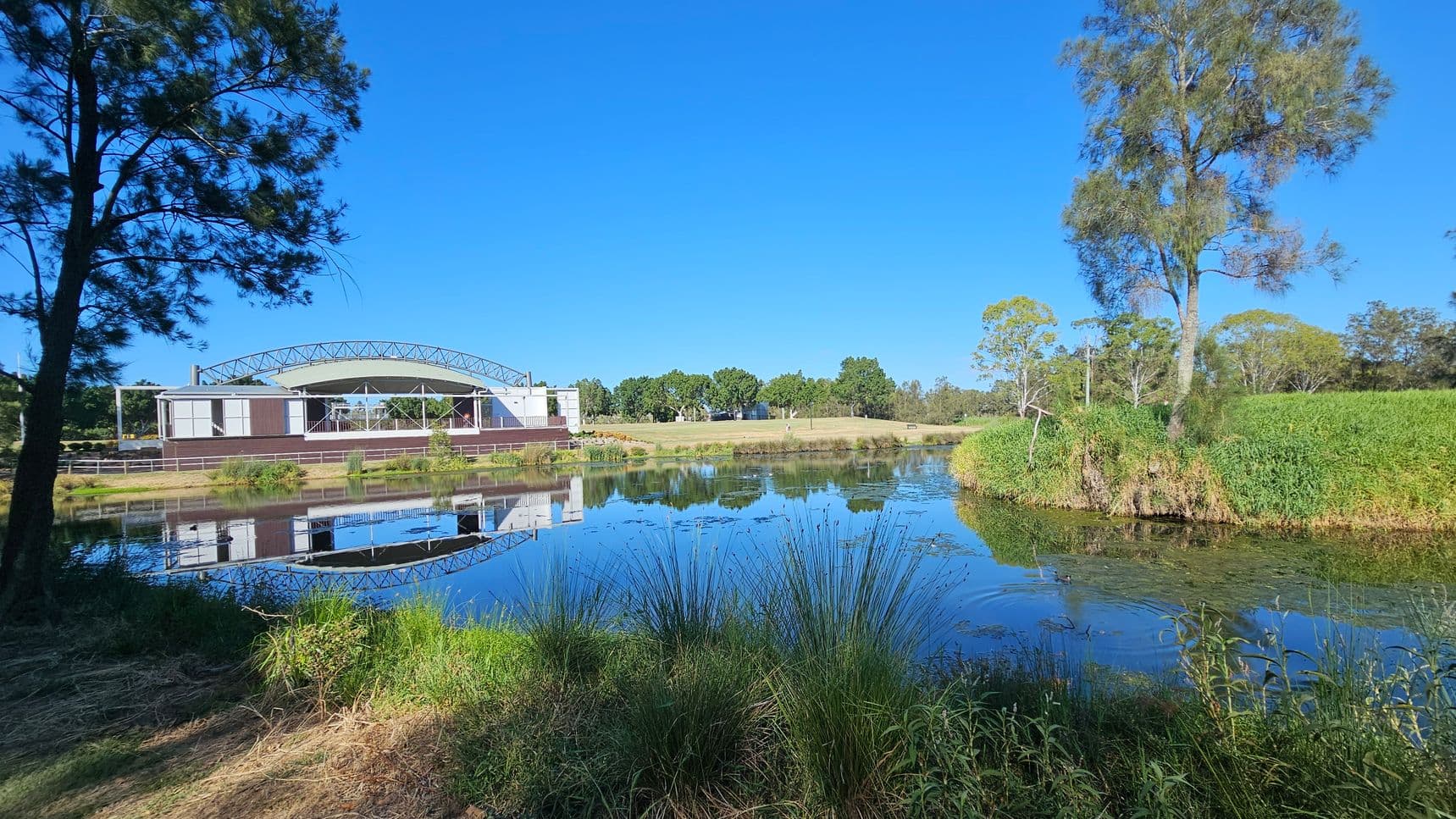 A serene pond with clear reflections of the surrounding landscape. On the left, a large tree stands near the water's edge. In the centre, a modern building with a curved roof is visible, its reflection mirrored in the pond. The right side features a grassy bank with a tall tree and dense vegetation. The foreground is filled with various grasses and plants, while the background shows more trees and open grassy areas.