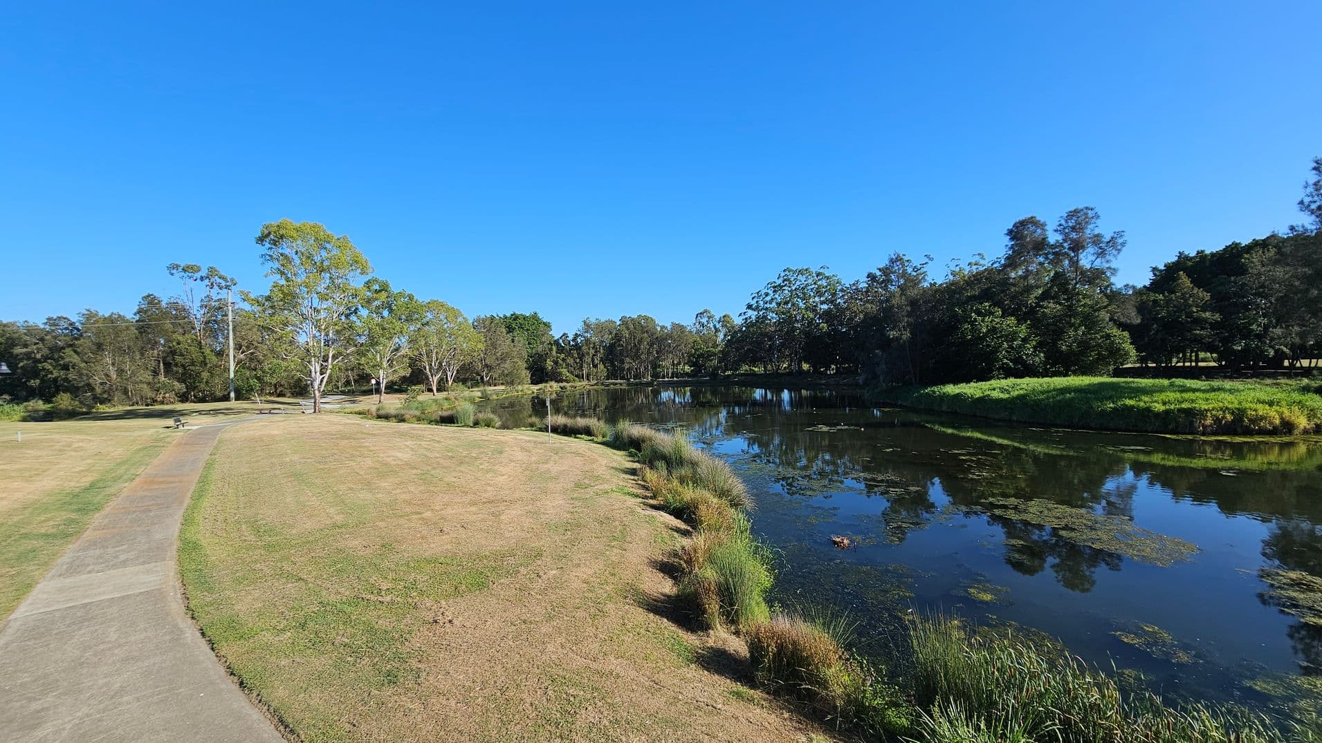 A serene landscape with a paved path on the left, bordered by a grassy area with scattered benches. On the right, a reflective pond is surrounded by lush greenery and trees. The background features a line of trees under a clear blue sky.