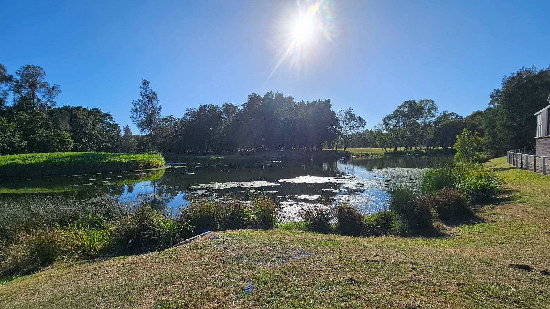 A serene pond is in the centre, surrounded by lush greenery. On the left, dense trees and grass create a natural border. On the right, a building with a fence overlooks the water. The foreground features a grassy area with shrubs and reeds near the water's edge. The sun is high in the sky, casting reflections on the pond's surface.